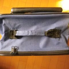 キャリーケース　なめこ図鑑　未使用　の画像