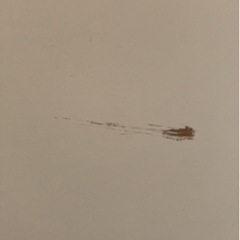 シューズボックス　下駄箱の画像