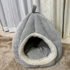 ★10/31まで出品予定★DCM パンプキンハウス  コーデュロ...