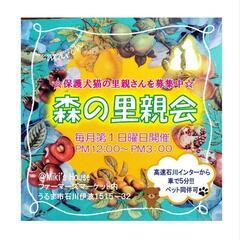 1月7日森の里親会-保護犬保護猫を家族に-