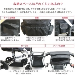 Mr.Macのペットバギーの画像