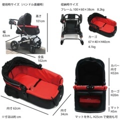 Mr.Macのペットバギーの画像