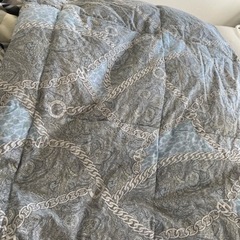 【決定済】CELINE 肌掛け羽毛布団の画像