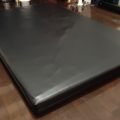 残り1枚！！！ほぼ未使用　サバイDX forオイル10センチ