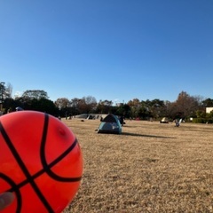 暖かい昼間に大きな公園で簡略テントでピクニックしませんか？^ ^...
