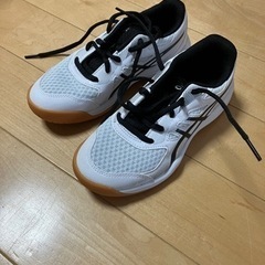 アシックス体育館シューズ　子供用