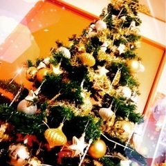 大型クリスマスツリー 210cm