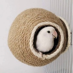 鳥用のツボ型巣箱新品同様