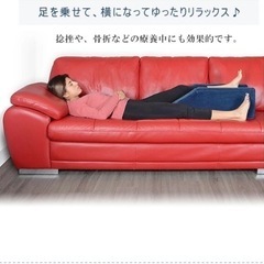 ミリアード レッグ エレベーター クッションの画像