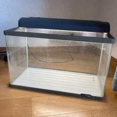 水槽　ライト