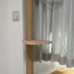 キャットタワー　突っ張り　スリム