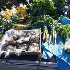 3月10日日開催(*^^*)採れたてお野菜の格安販売とフリーマー...