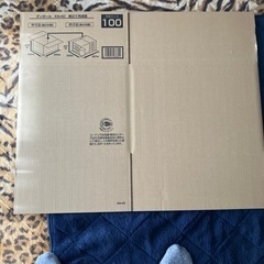 ダンボール１００サイズ