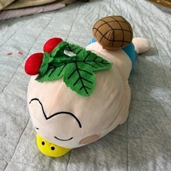 非売品♪はなかっぱ♪ぬいぐるみ♪どすな～(笑)♪②♪残1 羨ましく