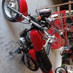 エイプ50cc　お話中です*⁠\⁠0⁠/⁠*