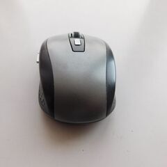 マウスの画像