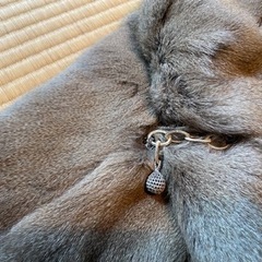 美品毛皮　イタチ　ファーの画像