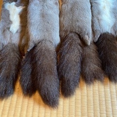 美品毛皮　イタチ　ファーの画像