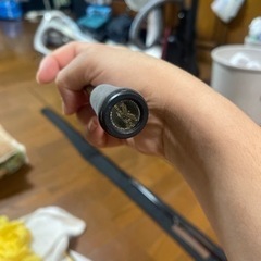  ハートランド 冴掛 Midge direction ST