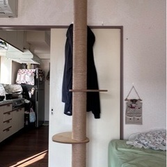 キャットタワー 突っ張り スリム 省スペース 爪とぎ　猫用品 ペ...