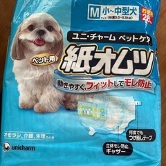 Mサイズ　犬用オムツ