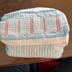 Mサイズ　犬用オムツの画像