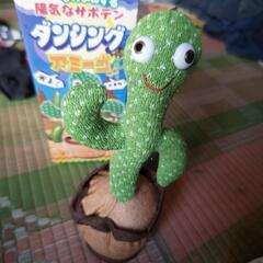 サボテン🌵のおもちゃの画像
