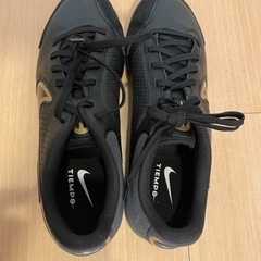 NIKE トレシュー 26.5cm 未使用の画像