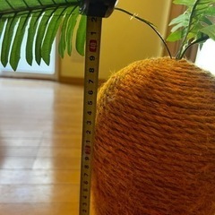 【可愛い爪研ぎ】にんじん型🥕の画像