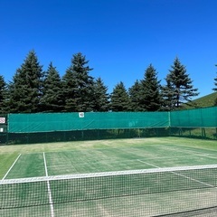 ★ゆったり🎾硬式テニス、楽しみましょう😊 - メンバー募集