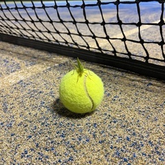★ゆったり🎾硬式テニス、楽しみましょう😊 − 北海道