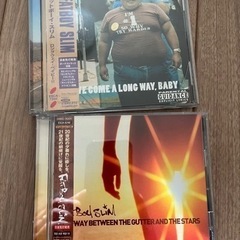 ファットボーイスリムのCD