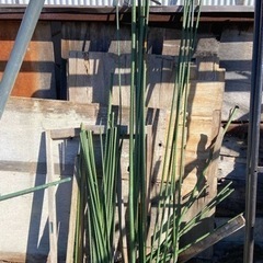 園芸用支柱鉄の支柱など長短太細各種 100円〜