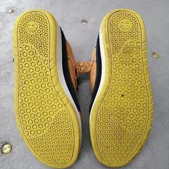 この時期はこれ！の画像