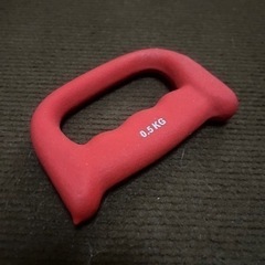 クロムダンベル10キロ×2個の画像