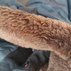 メンズLサイズの画像