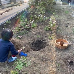 感謝完了🙏✨畑土【安宅】残土　庭の花　欲しい方持ってってー🙏✨の画像