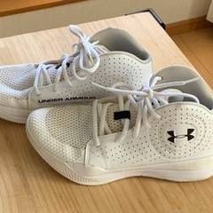 24センチ　バスケットシューズ
