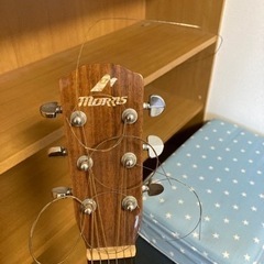 アコースティックギター　モーリス　M81