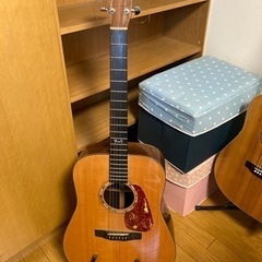 アコースティックギター　モーリス　M81の画像