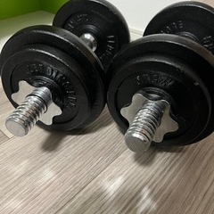 ダンベル10kgずつ