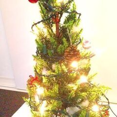 クリスマスツリーの画像