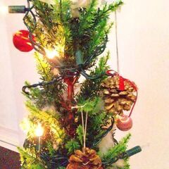 クリスマスツリーの画像