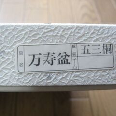 越前塗　万寿盆の画像