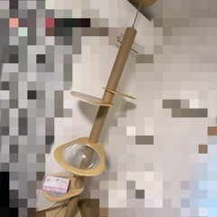 【突っ張りキャットタワー/使用期間1年弱】0円