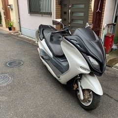 マジェスティCの画像