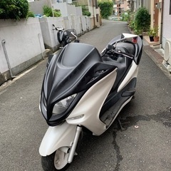 マジェスティCの画像
