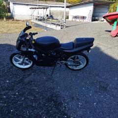 NS-1前期です!の画像