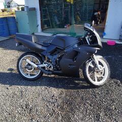 NS-1前期です!の画像