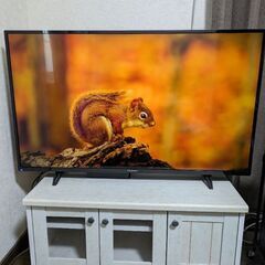 funai 43型　液晶テレビ